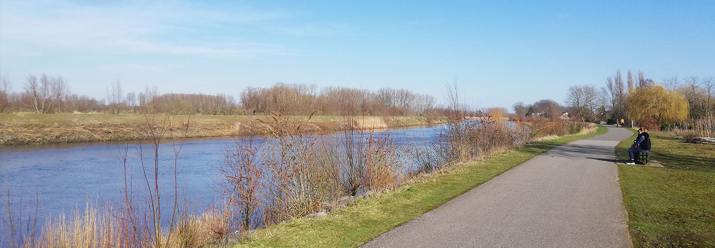 B&B De Stuifduinen