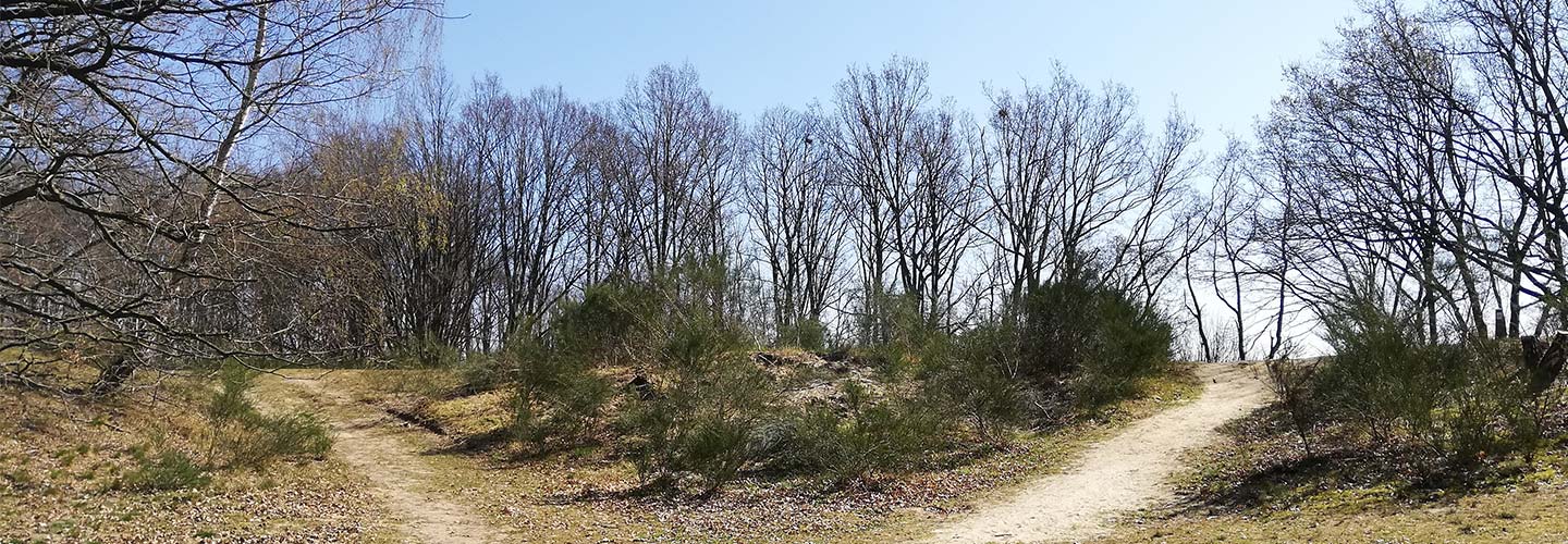 B&B De Stuifduinen