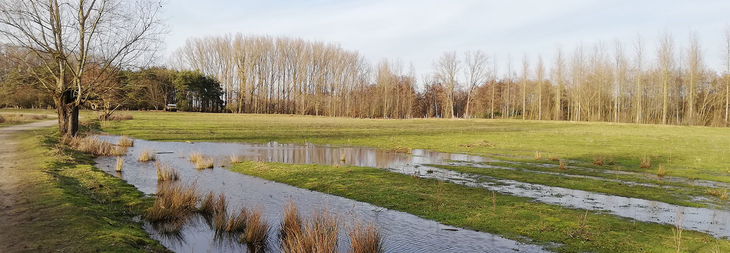 B&B De Stuifduinen